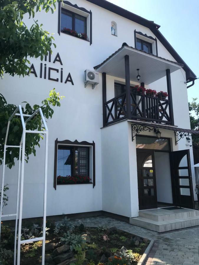 Villa Galicia Berehove  Exteriör bild